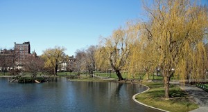 Boston Common