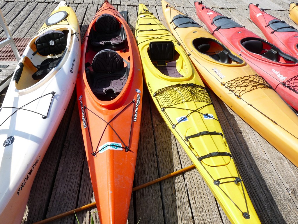 Rent a few kayaks on the Esplanade and enjoy the city views from the river.