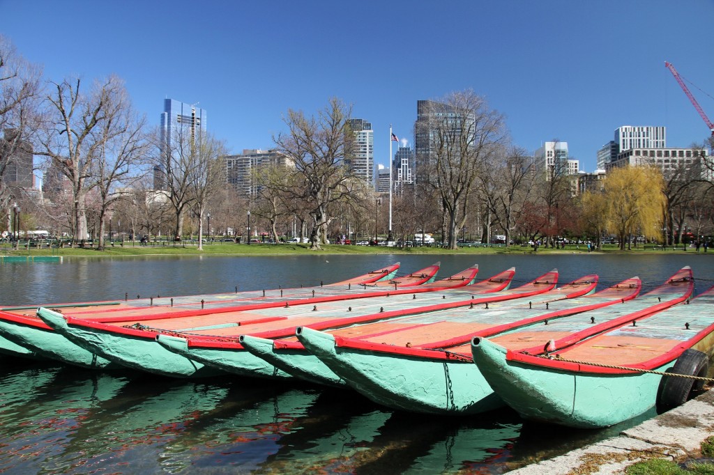 Rent a boat from the Boston Common launch on a sunny day.